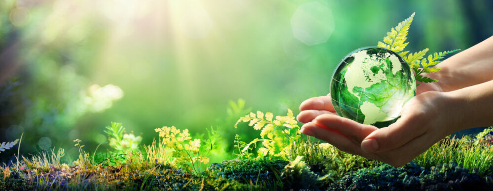 Hands Holding Globe Glass In Green Forest – Environment Concept – Element of image furnished by NASA